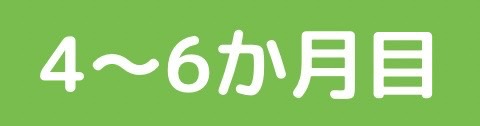 4か月