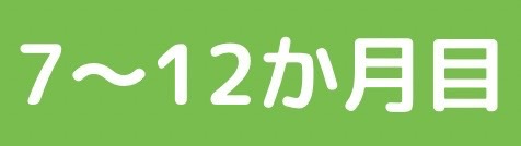 7か月